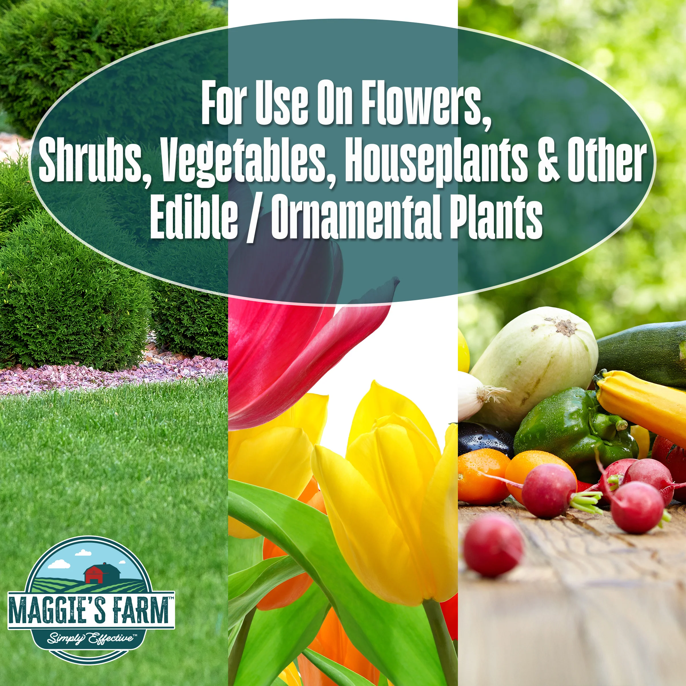 3-in-1 Garden Spray - Image 4