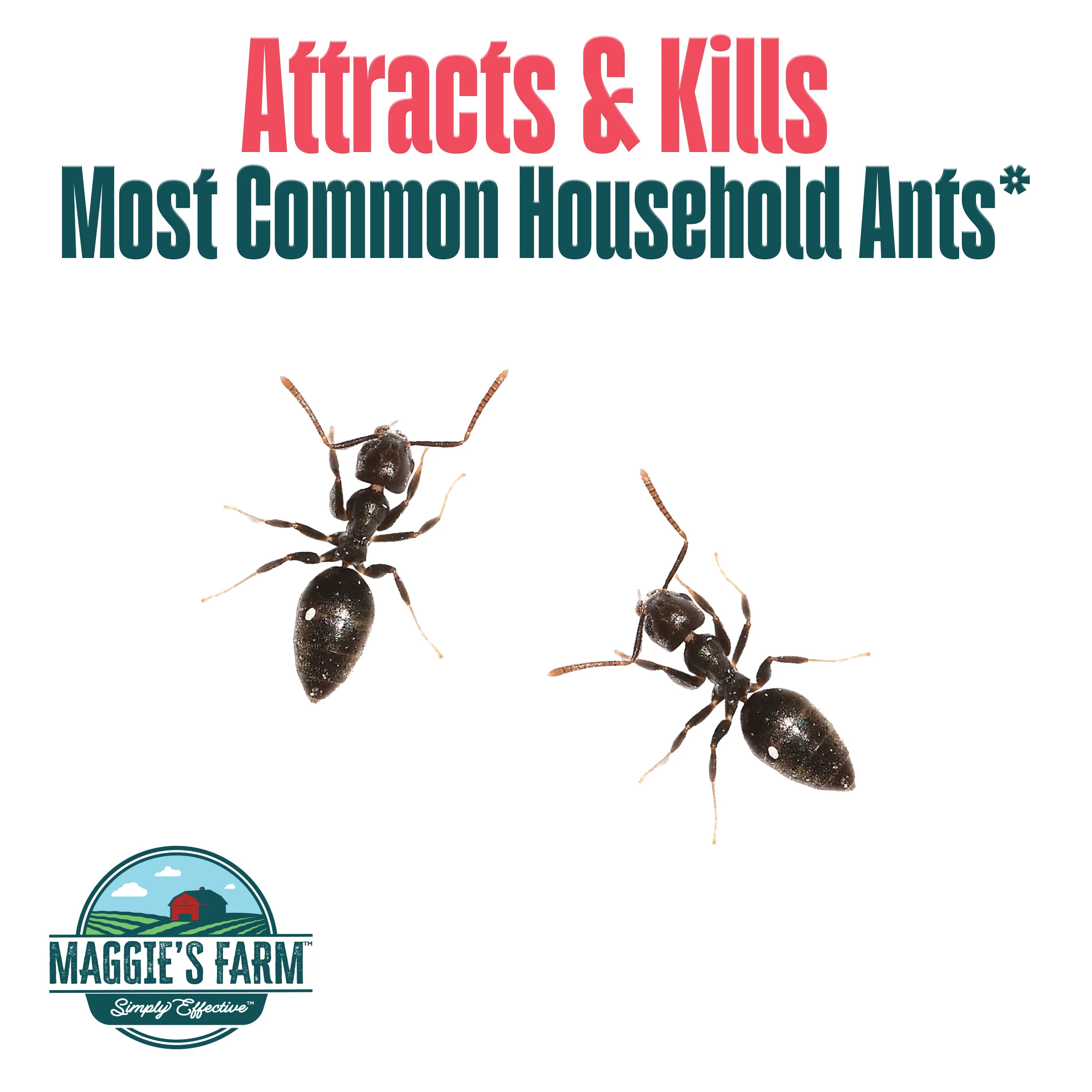 Ant Killer Bait - Image 3