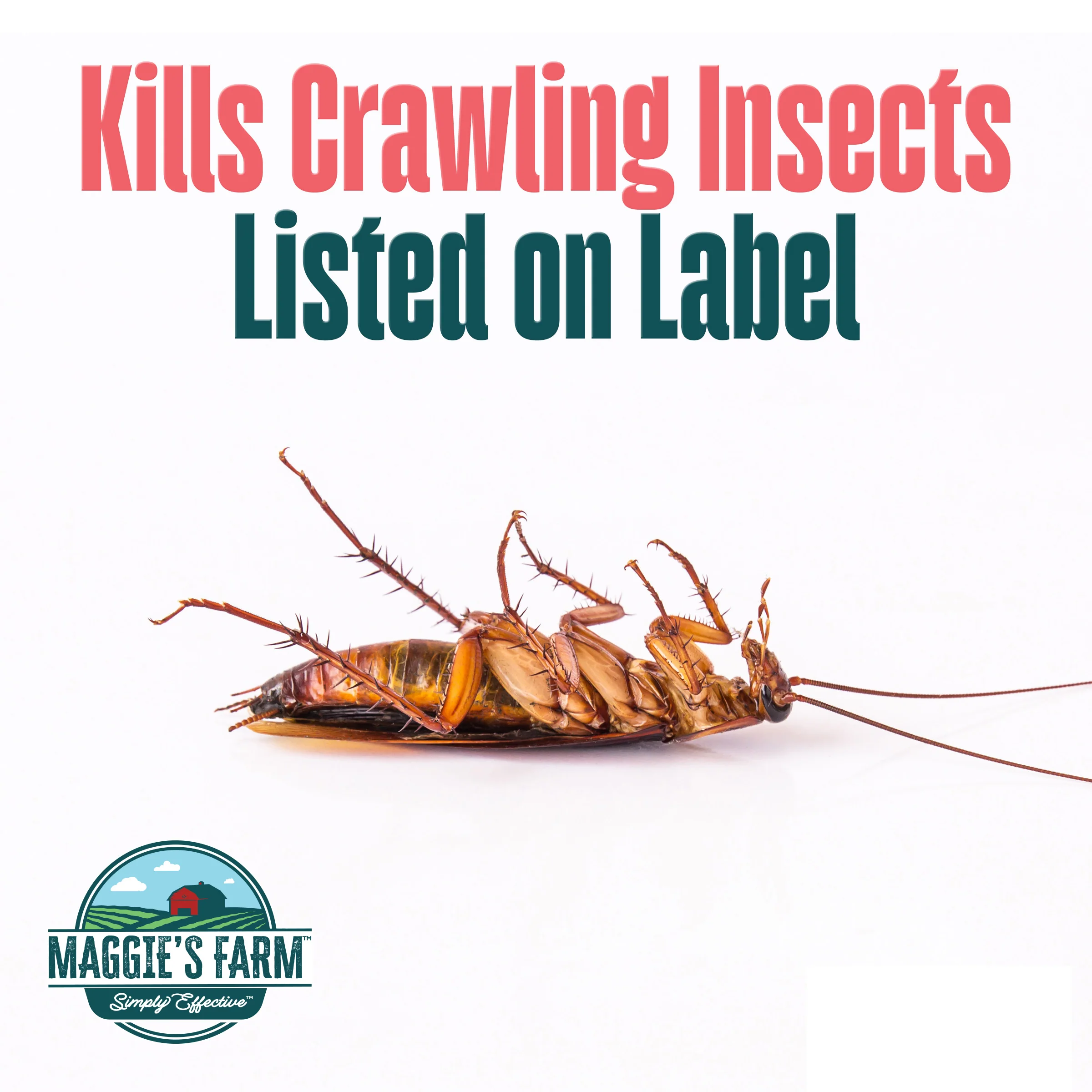 Ant & Roach Killer - Image 3