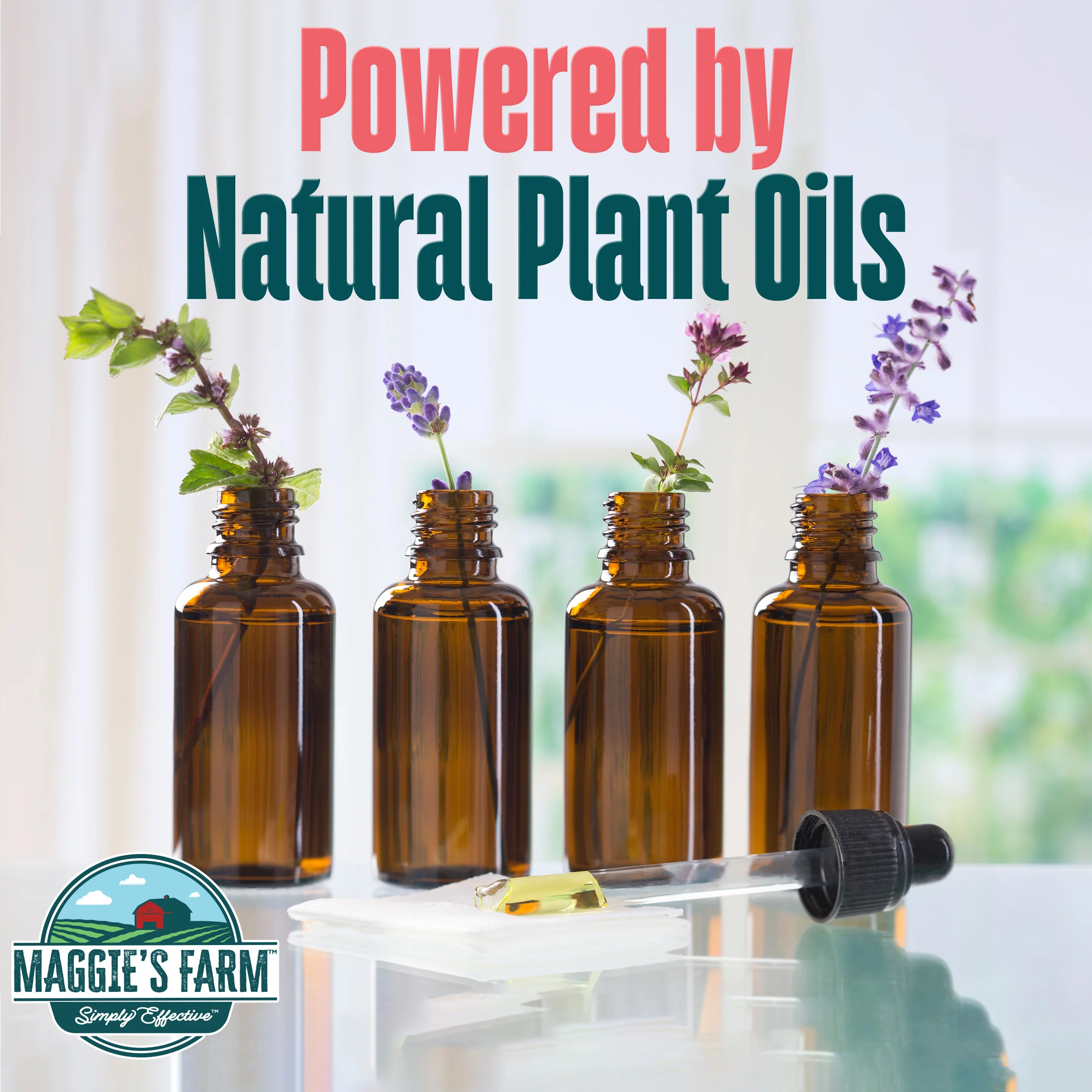 Ant & Roach Killer - Image 4