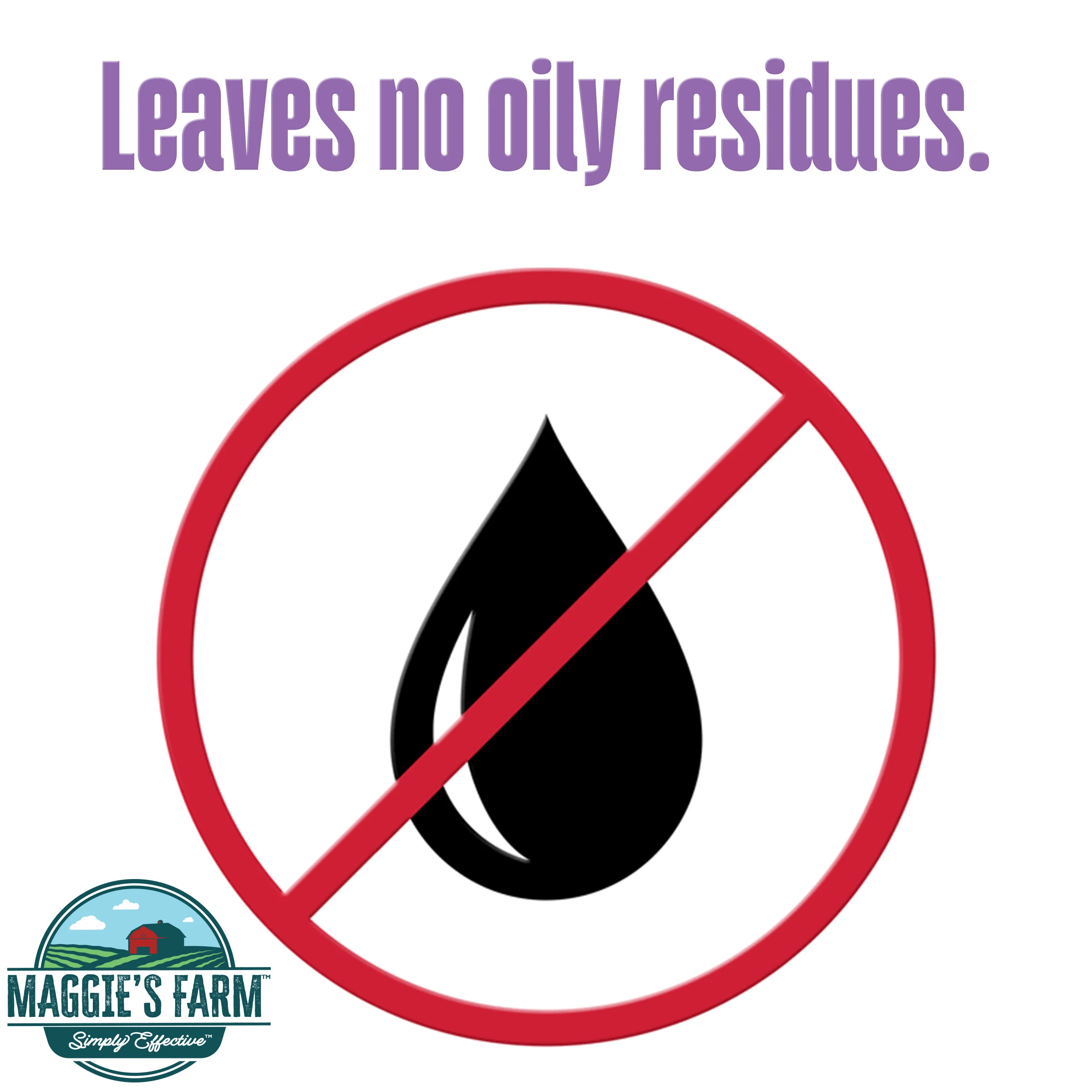 Bed Bug & Flea Killer - Image 4