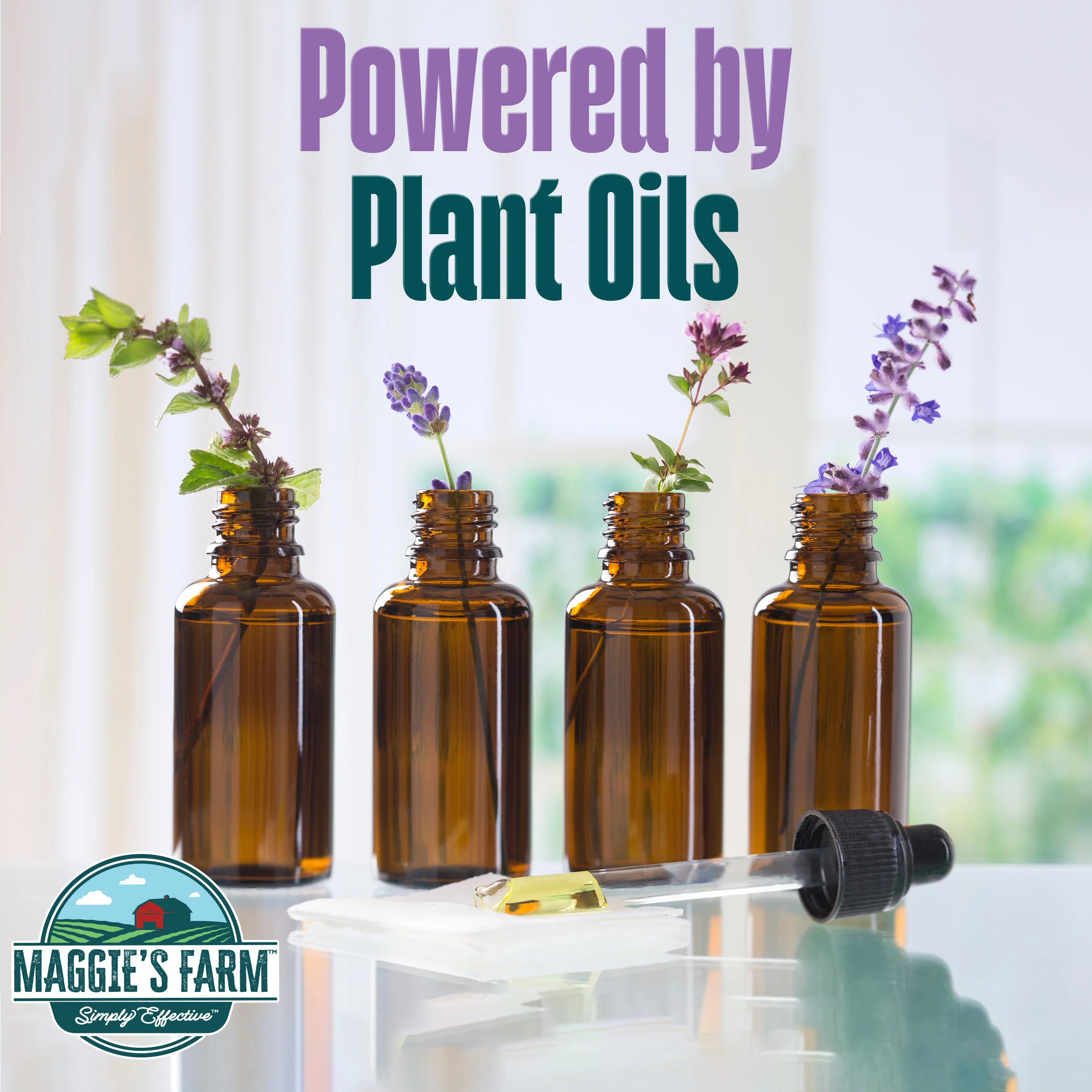 Bed Bug & Flea Killer - Image 5