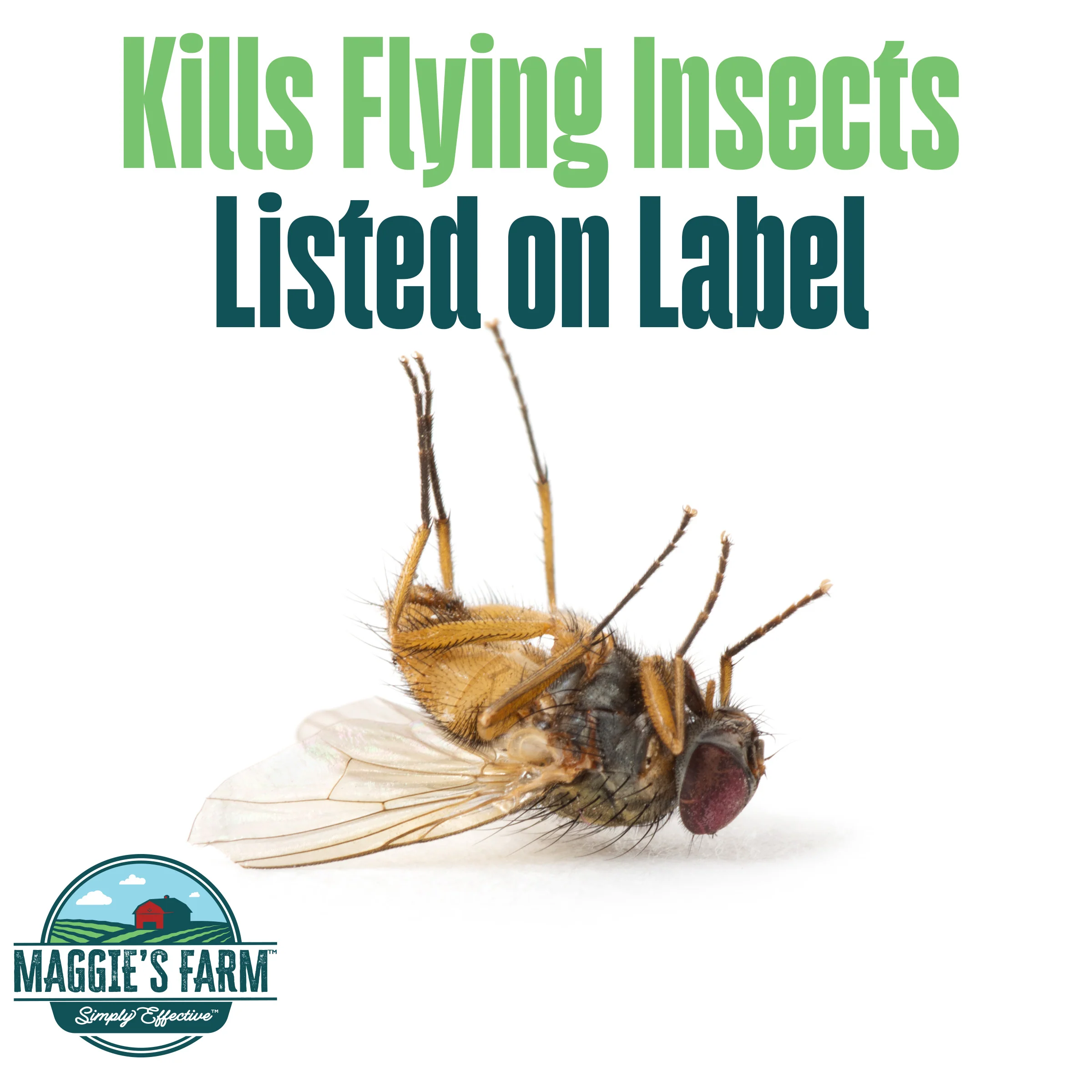 Flying Insect Killer - Image 3