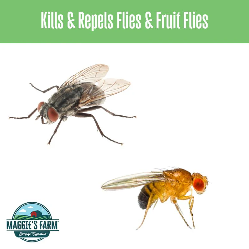 Garbage Refresh Deodorizer & Insect Control - Image 4