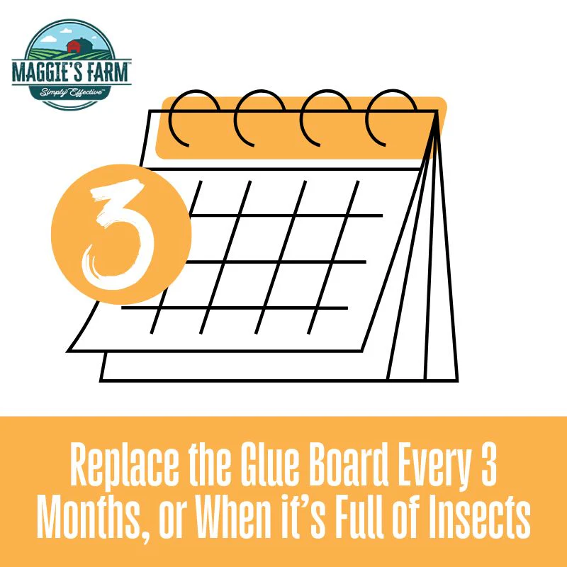 Spider & Insect Trap Glue Board – Replacements – Pack of 5 - Image 3