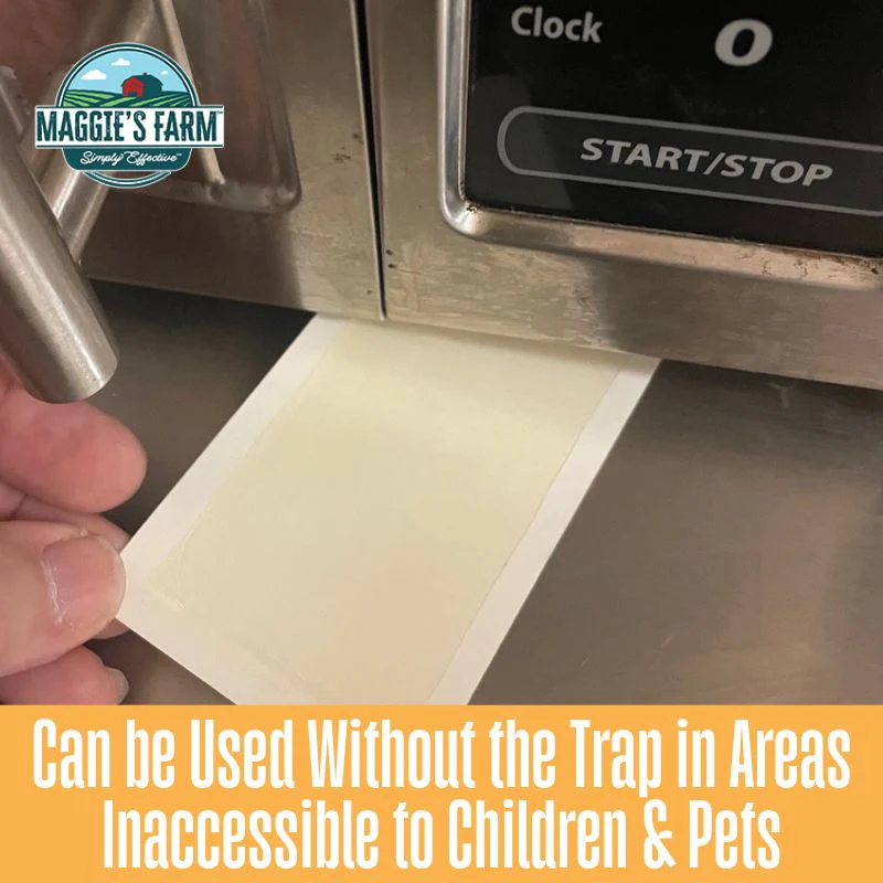 Spider & Insect Trap Glue Board – Replacements – Pack of 5 - Image 4