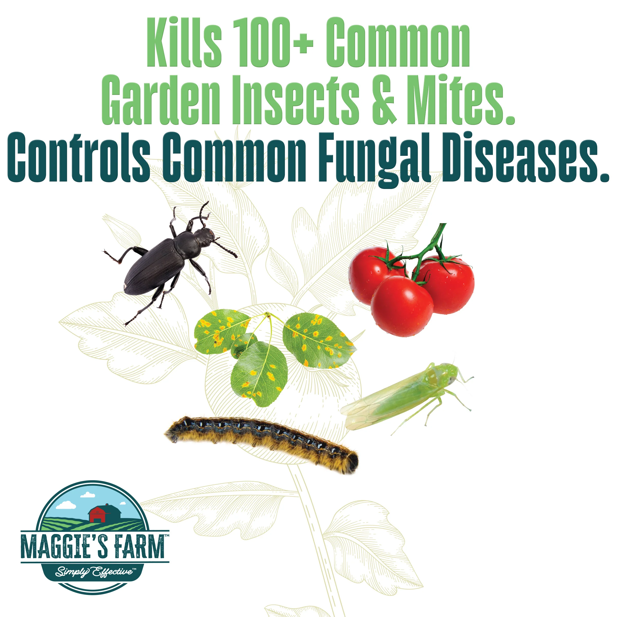 Vegetable Garden Insect & Disease Control - Image 3