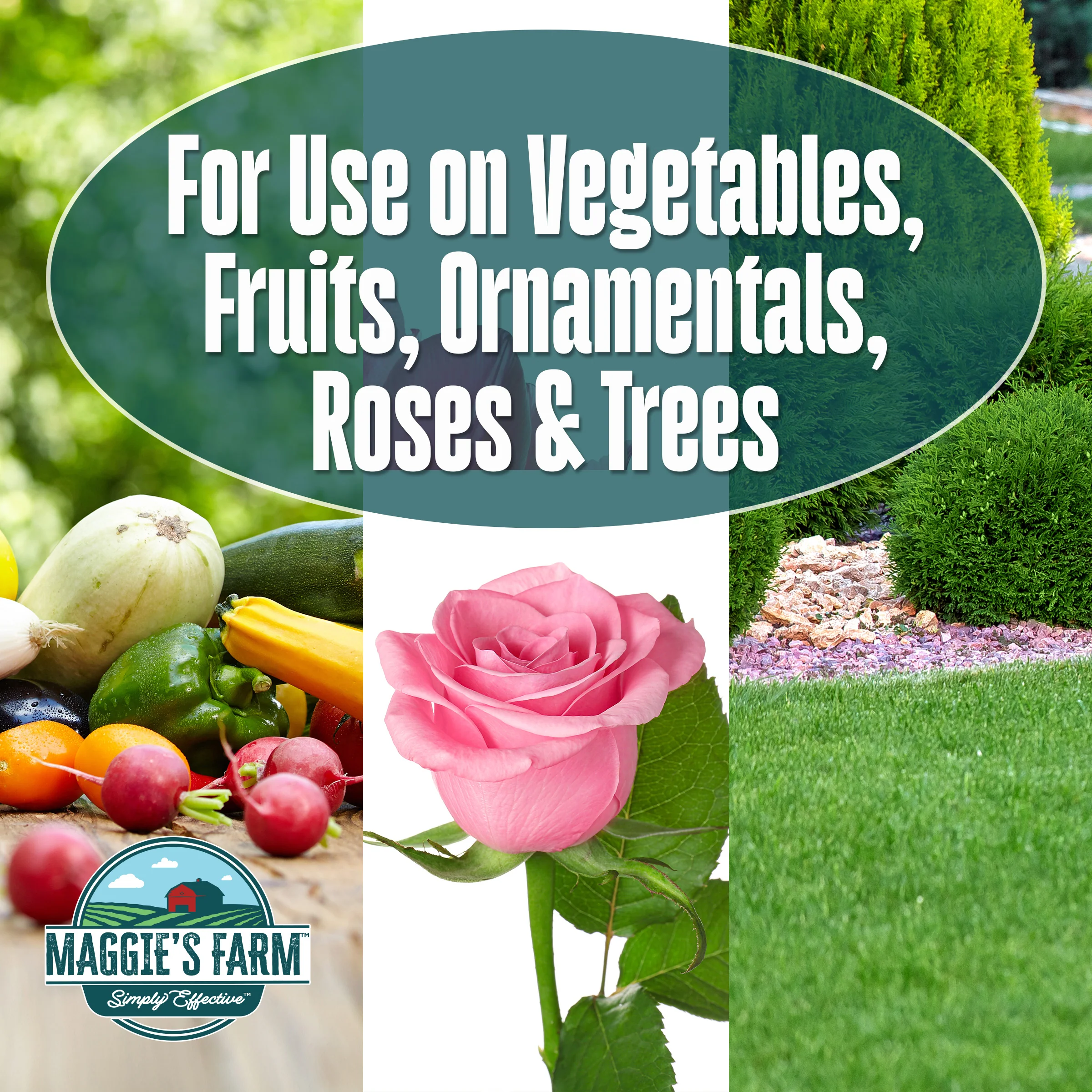 Vegetable Garden Insect & Disease Control - Image 5