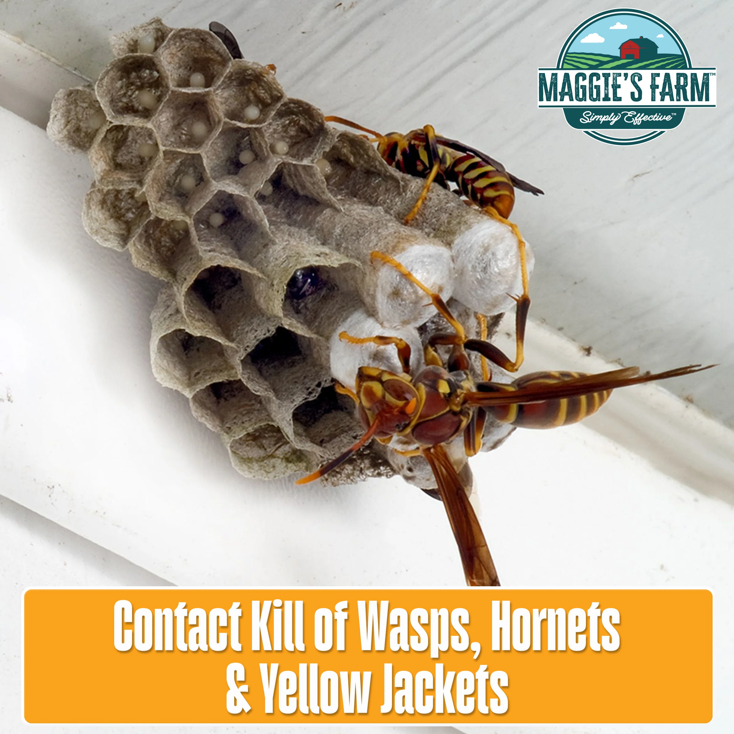 Wasp & Hornet Killer - Image 3