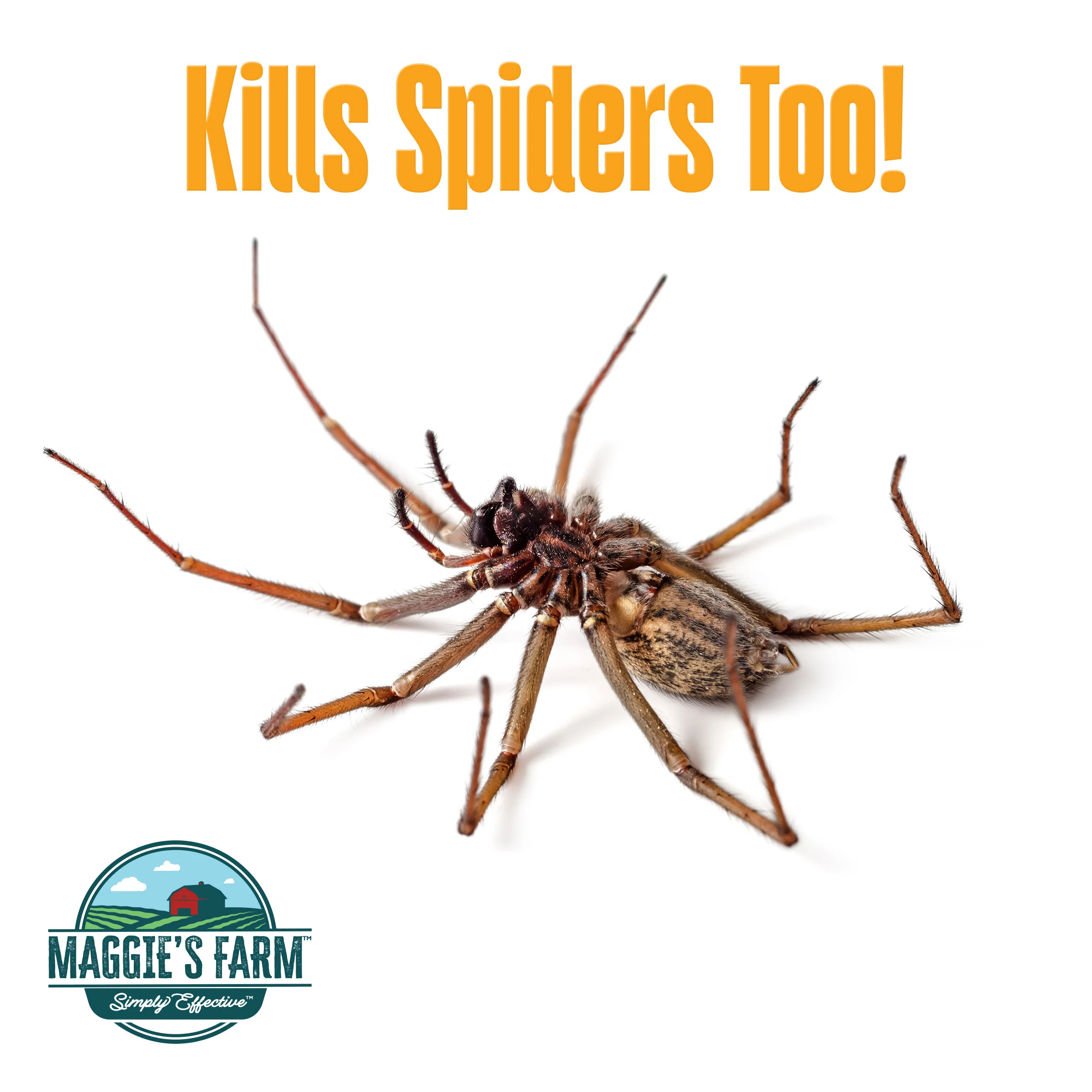 Wasp & Hornet Killer - Image 5