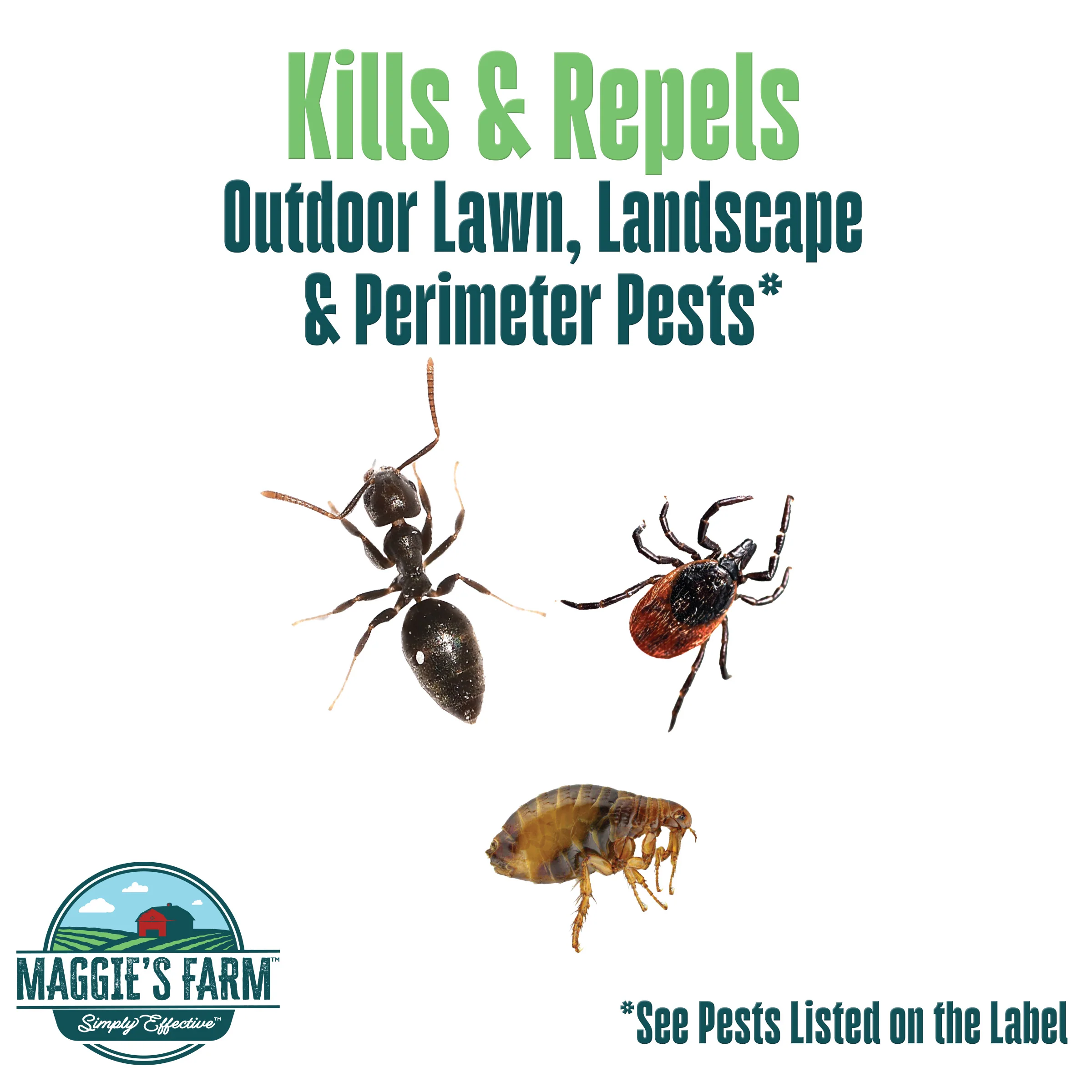 Yard Bug Spray - Image 3